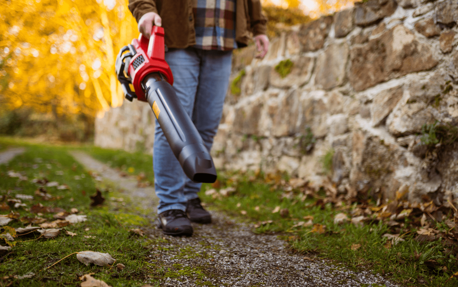 Set: Akku-Laubbläser XL, 40V inklusive 2 Akkus und Ladegerät