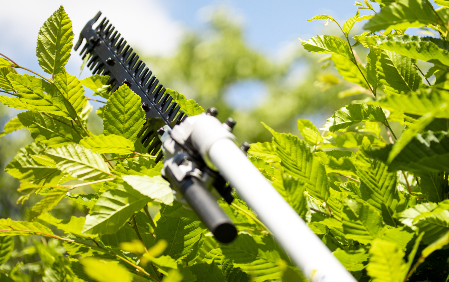 Das Multitool 4in1 von LEO Garden: Ihr vielseitiger Helfer im Garten