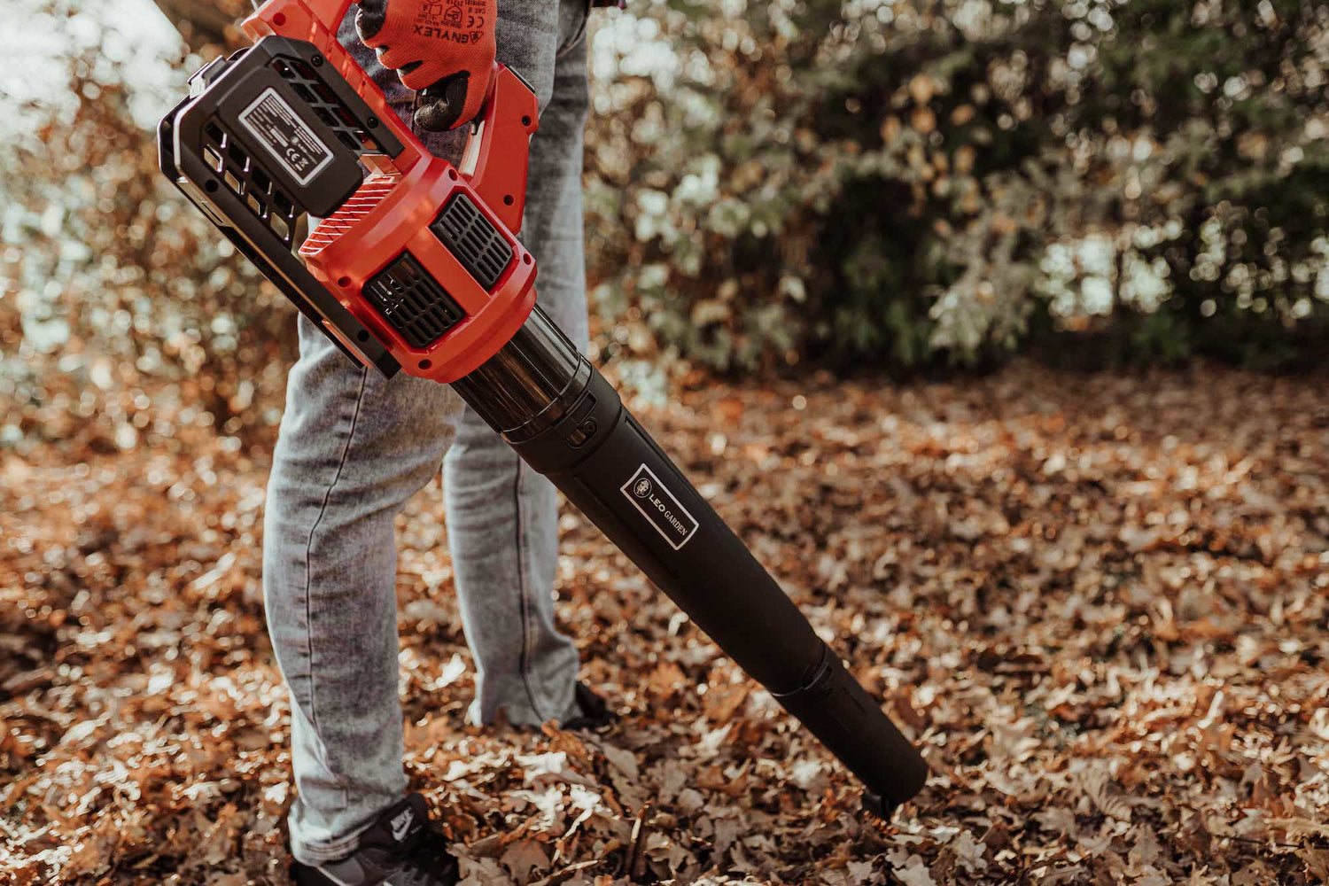 Gartenarbeiten im Herbst: Deine To-Dos im Oktober